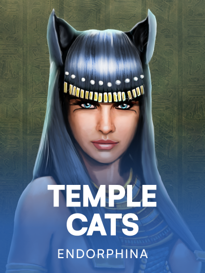 Game card image for Temple Cats