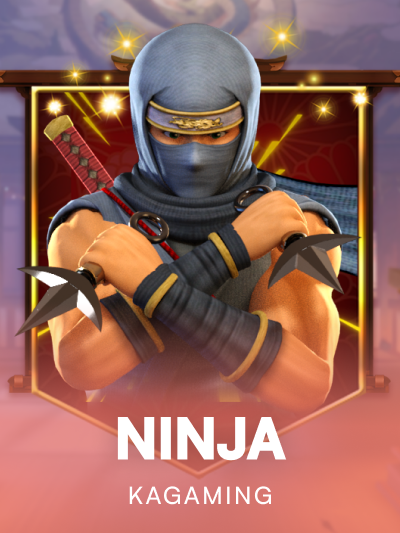 Game card image for Ninja