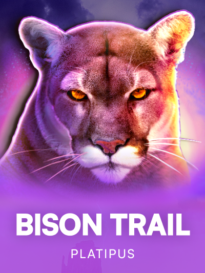 Game card image for Bison Trail