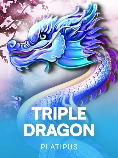 Game card image for Triple Dragon