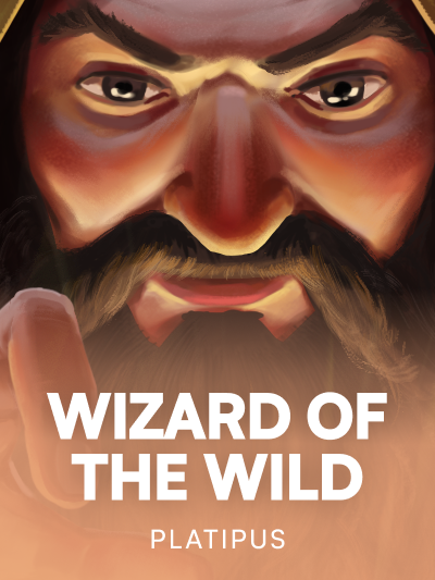 Game card image for Wizard of the Wild