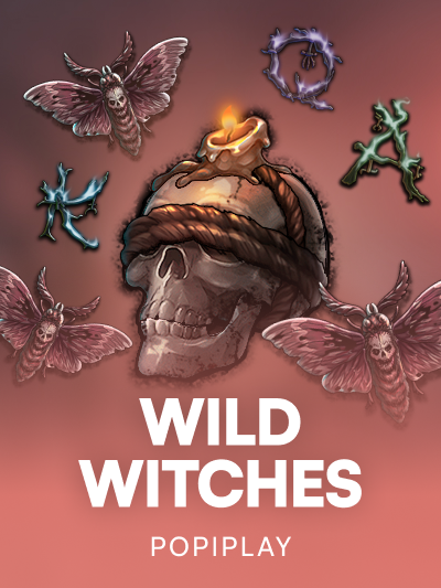 Game card image for Wild Witches