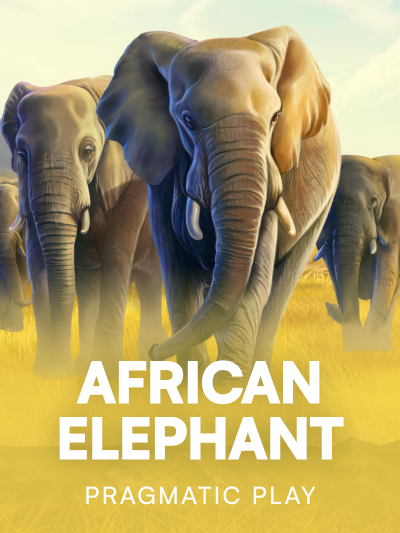 Game card image for African Elephant